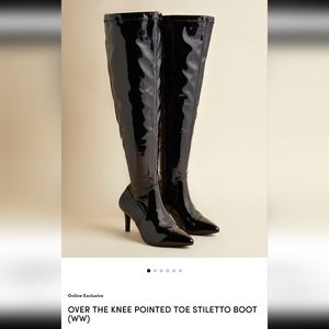 Over the knee pointed toe stiletto boot (ww)